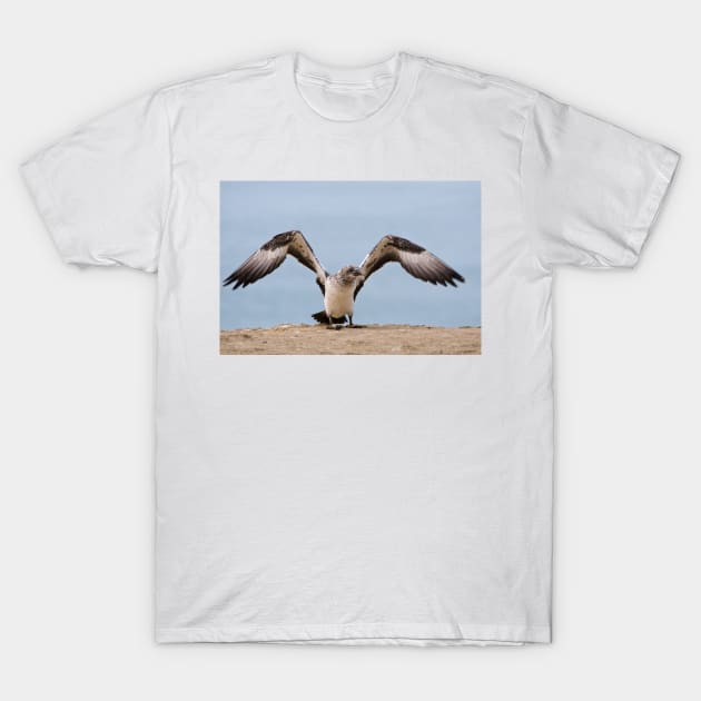 Learning to Fly T-Shirt by fotoWerner